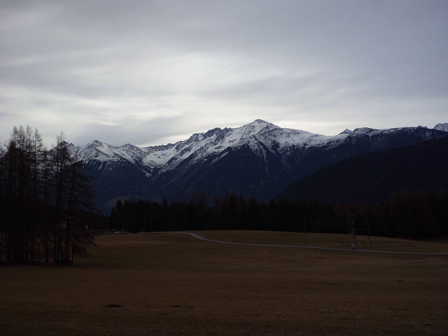 Snowy Mountain Peaks Over Dark Forest and Meadow