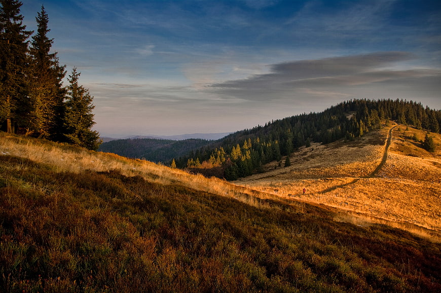 Golden hour mountain landscape with hiking trail and pine forest