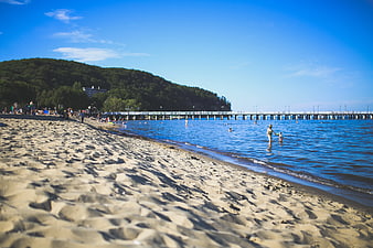 Sandy Beach Shoreline with Pier and Swimmers