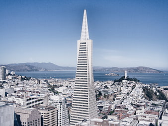 Aerial View of Transamerica Pyramid in San Francisco Skyline