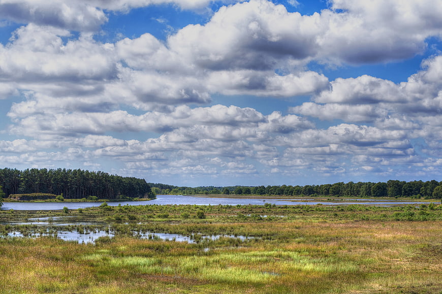 Scenic Dutch wetland landscape with forest and cloudy sky