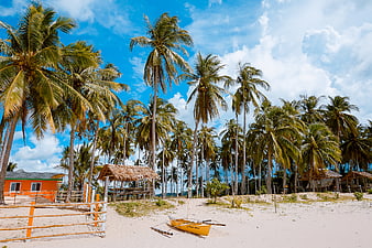 Tropical Beach with Palm Trees and Yellow Boat