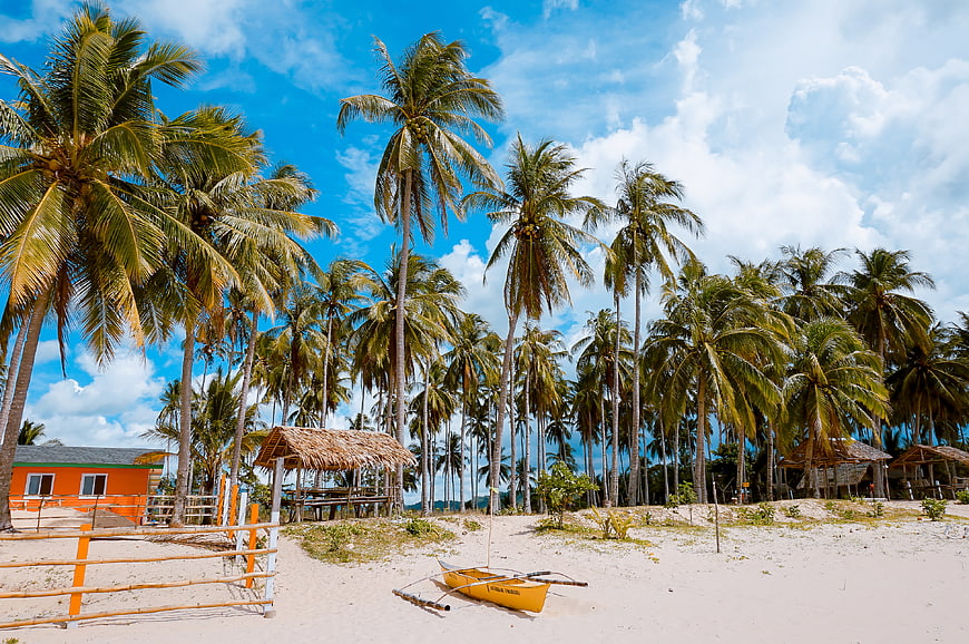 Tropical Beach with Palm Trees and Yellow Boat