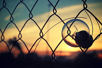 Broken light bulb on chain link fence at sunset