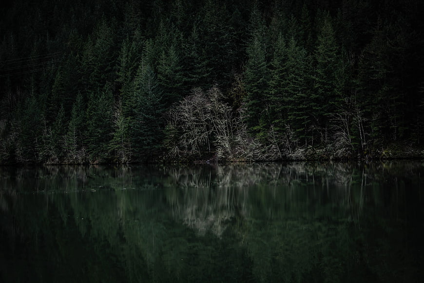 Dark moody pine forest reflected in calm lake water