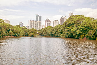 Austin Texas Skyline View from Lady Bird Lake