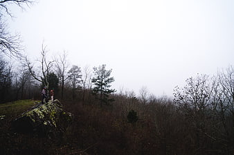 Two Hikers Standing on Rocky Outcrop in Misty Forest