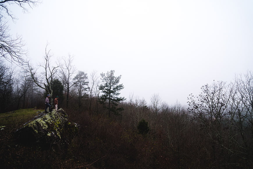 Two Hikers Standing on Rocky Outcrop in Misty Forest