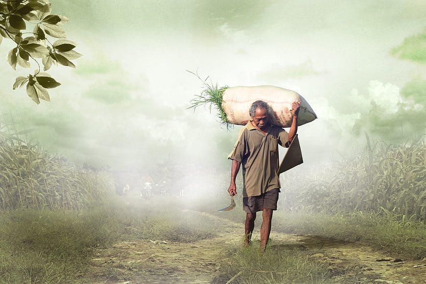 Senior Asian Farmer Carrying Heavy Sack Through Misty Rural Field