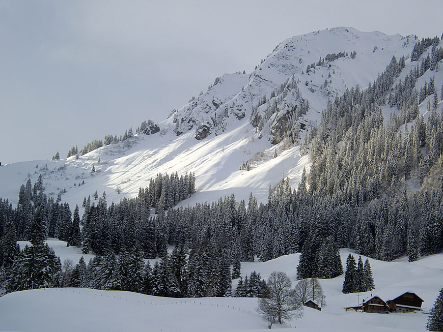 Snowy Mountain Landscape with Pine Forest and Chalet