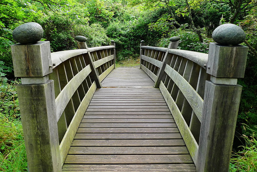 Weathered wooden footbridge leading into a lush green forest