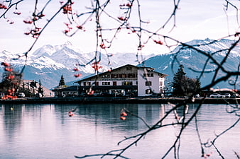Lakeside hotel with snow-capped mountains and spring blossoms