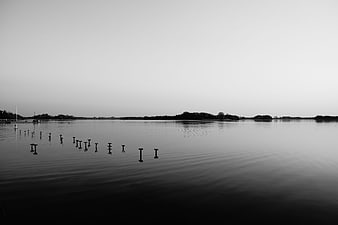 Minimalist Black and White Lake Landscape with Wooden Posts