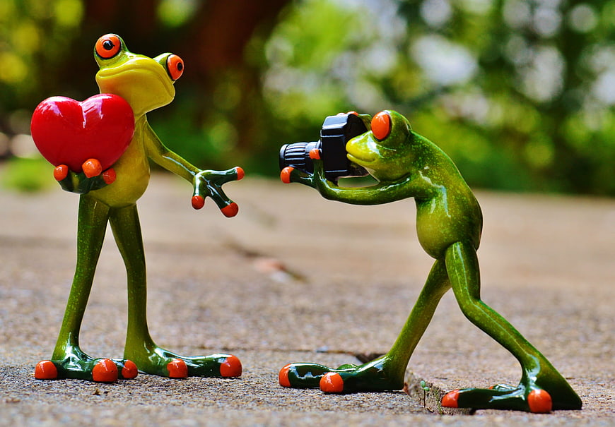 Cute frog figurines with camera and heart in nature