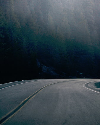 Empty Winding Road Through Dark Foggy Forest