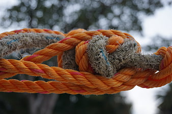 Close-up of orange and gray ropes tied in a knot