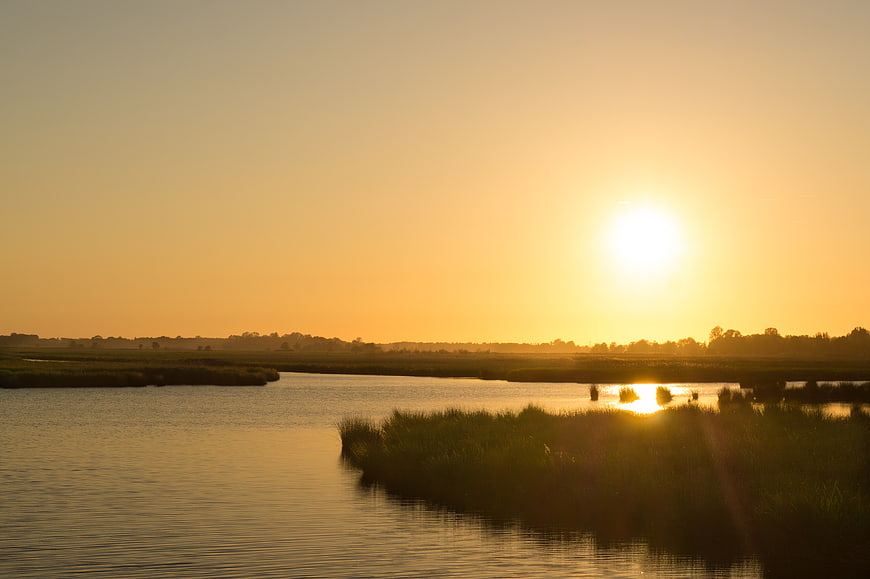 Golden sunset over calm river with reeds and reflection
