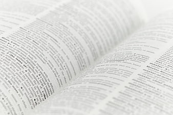 Close-up of open dictionary pages with blurred text background