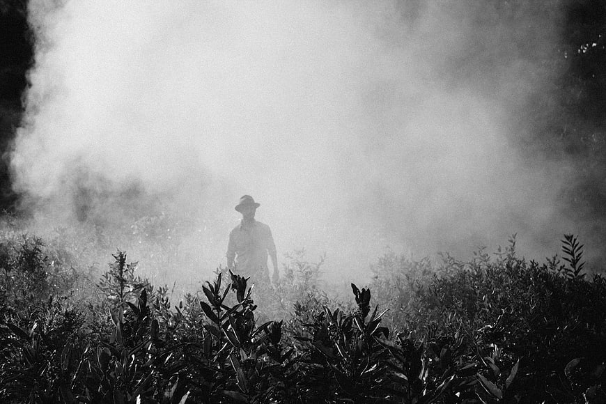 Silhouette of man in hat walking through foggy field