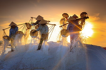Vietnamese salt farmers harvesting at golden sunset