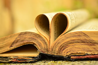 Heart shape formed by folded pages of an old book