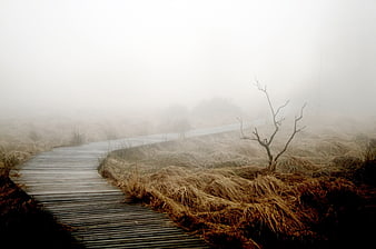 Foggy Wooden Boardwalk Path Through Misty Autumn Moor