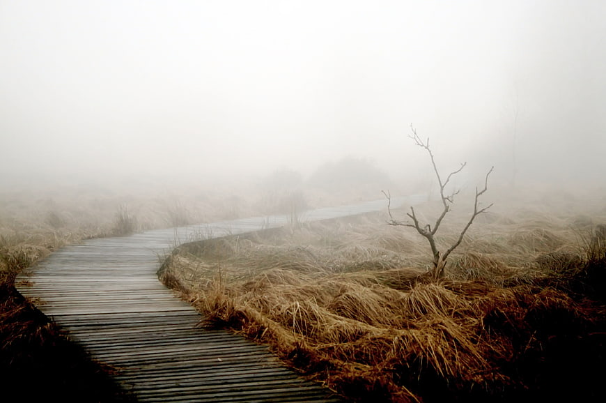 Foggy Wooden Boardwalk Path Through Misty Autumn Moor