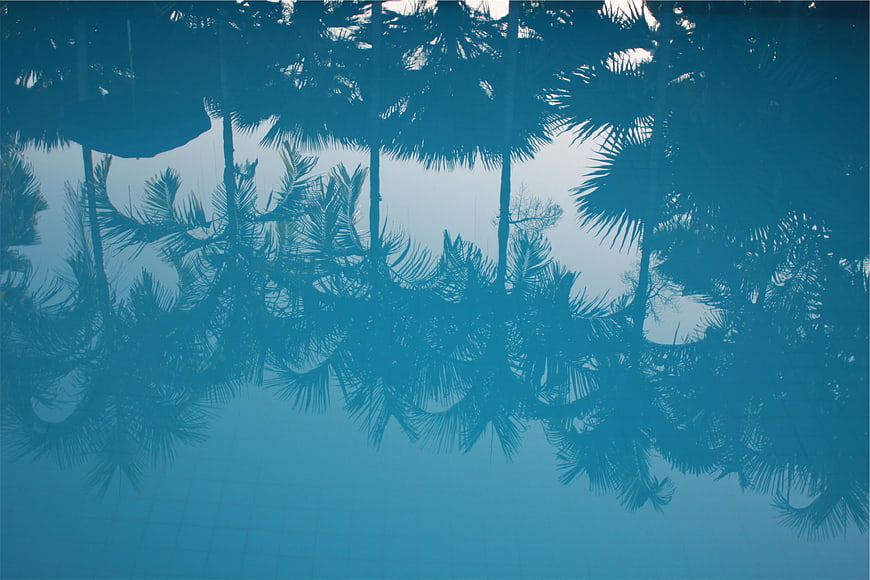 Blue pool water with palm tree reflections