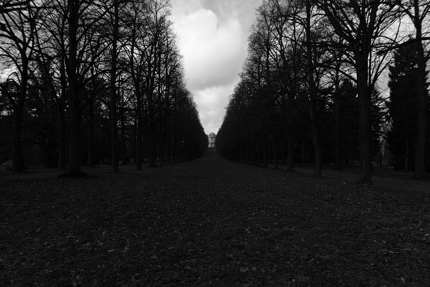 Black and white tree-lined path leading to distant building