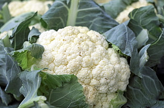 Fresh Cauliflower Head With Green Leaves At Market