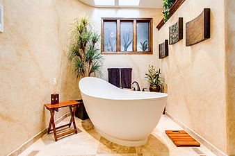 Luxury Spa Bathroom With Freestanding Bathtub And Tropical Plants