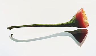 Bitten red chili pepper with reflection on white background