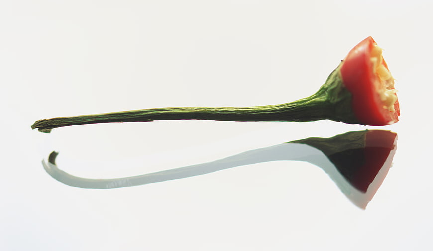 Bitten red chili pepper with reflection on white background
