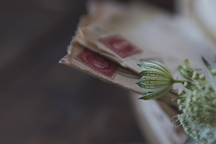Vintage Envelope with Red Stamp and Green Flower Bud