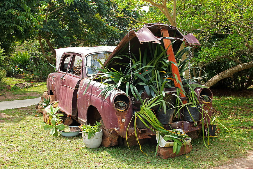 Rusty vintage car repurposed as garden planter with lush green plants