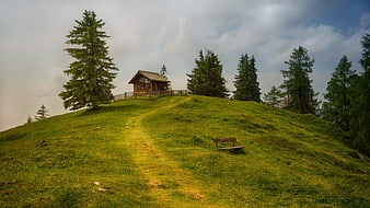 Wooden Alpine Hut on Grassy Hill with Pine Trees