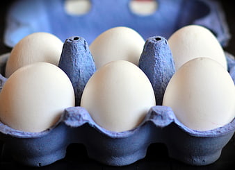 White Eggs In Blue Recycled Paper Carton Close Up