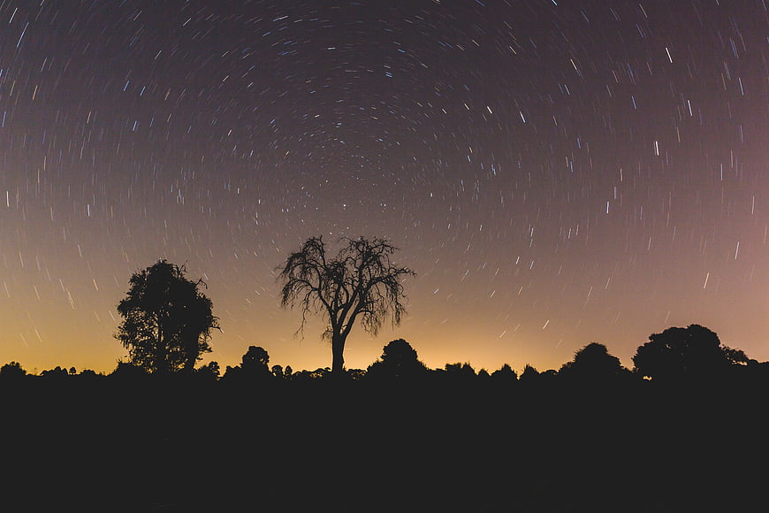 Star trails circling night sky above silhouetted trees
