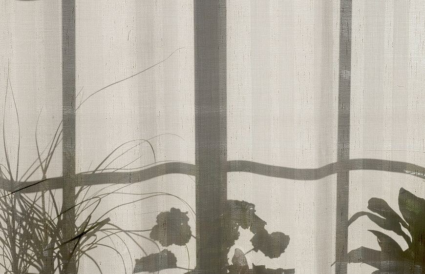 Plant Shadows on White Curtain