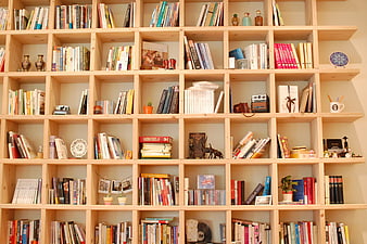 Wooden bookshelf filled with books and decorative objects