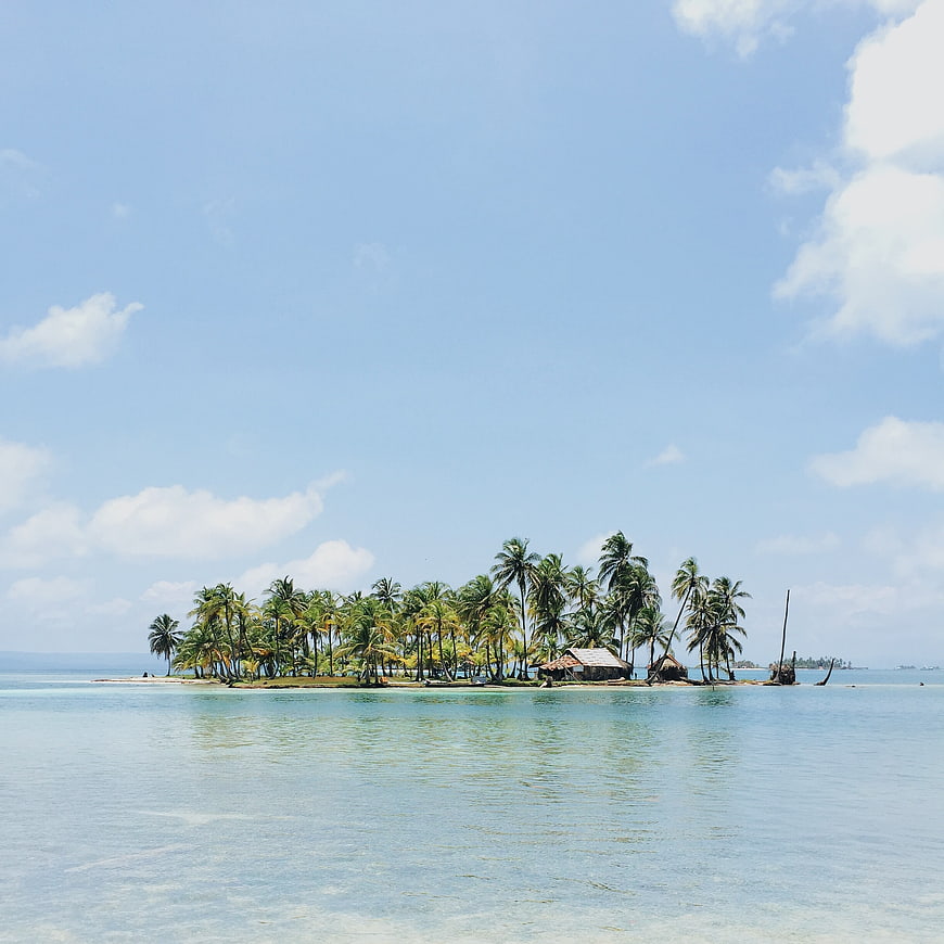 Tropical Island with Palm Trees and Blue Ocean