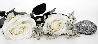 White roses, gold ring, and love stone on white background