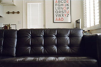 Black Leather Sofa in Modern Living Room with Alphabet Art