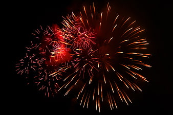 Vibrant red and gold fireworks exploding in the night sky