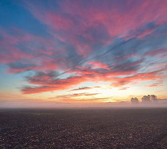 Dramatic Pink and Blue Sunrise Over Foggy Field