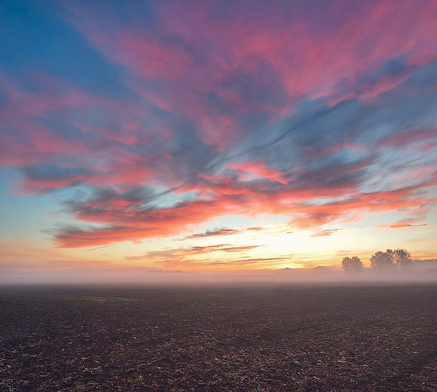 Dramatic Pink and Blue Sunrise Over Foggy Field