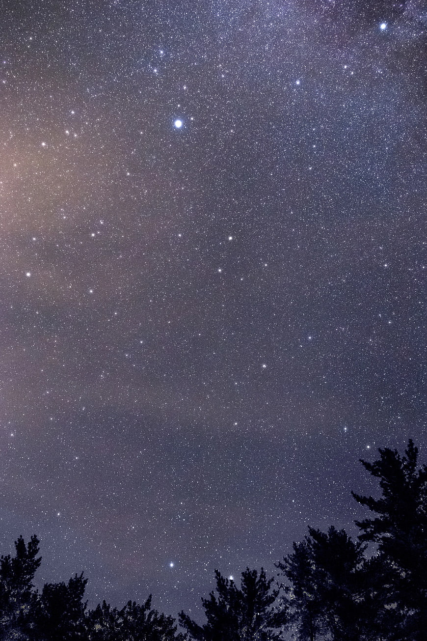 Starry Night Sky with Silhouetted Pine Trees