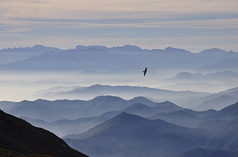 Misty Mountain Ranges With Flying Birds In Soft Morning Light