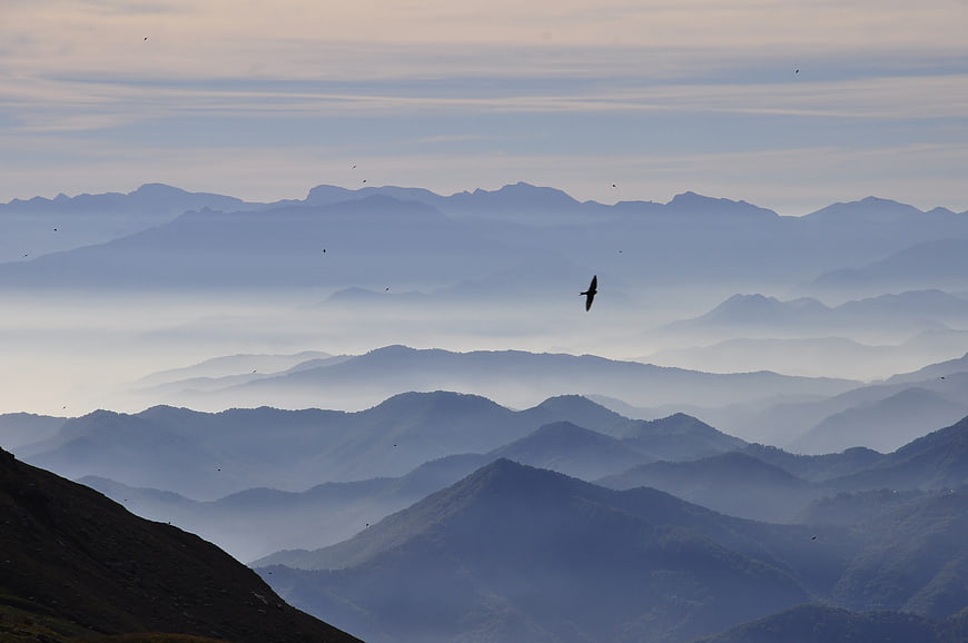 Misty Mountain Ranges With Flying Birds In Soft Morning Light
