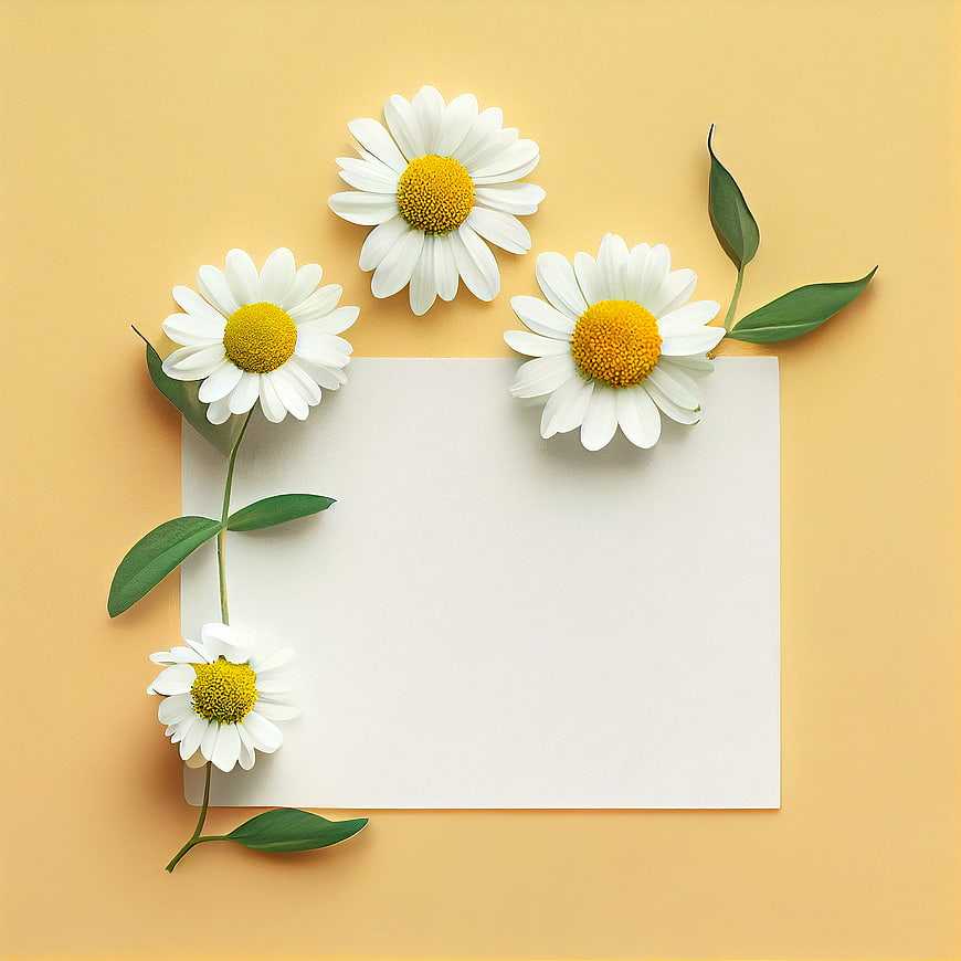 Flat lay of white daisies on yellow background with blank paper